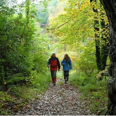 Ballyhoura Country Retreat 1 Bedroom Apartment Kildorrery