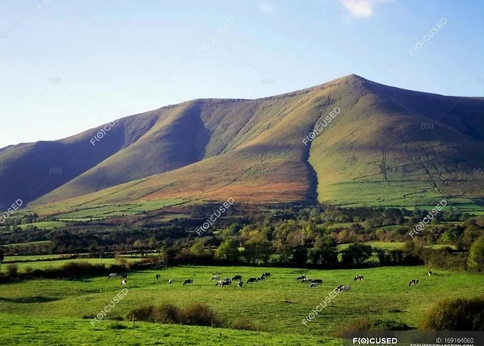 Ballyhoura Country Retreat 1 Bedroom Lejlighed *