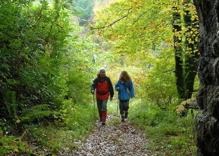 Ballyhoura Country Retreat 1 Bedroom Lejlighed Kildorrery